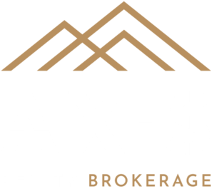 LOGO BLUE BG 2-axi-realty